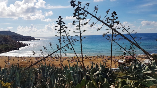 piaszczysta plaża na Malcie