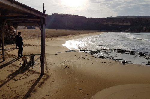 Golden Bay plaża na Malcie dla rodzin z dziećmi