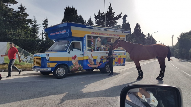 BOV ADVENTURE PARK horse and ice cream